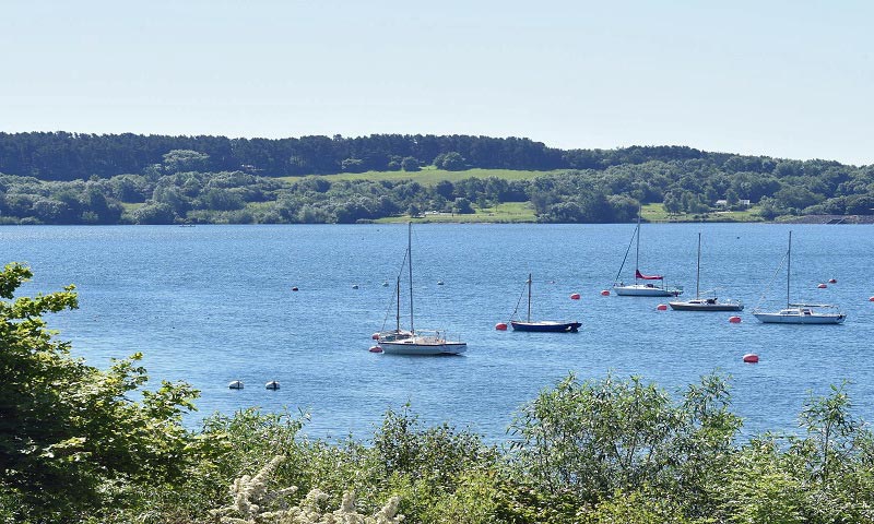 Carsington Water