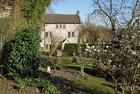 The garden and holiday house